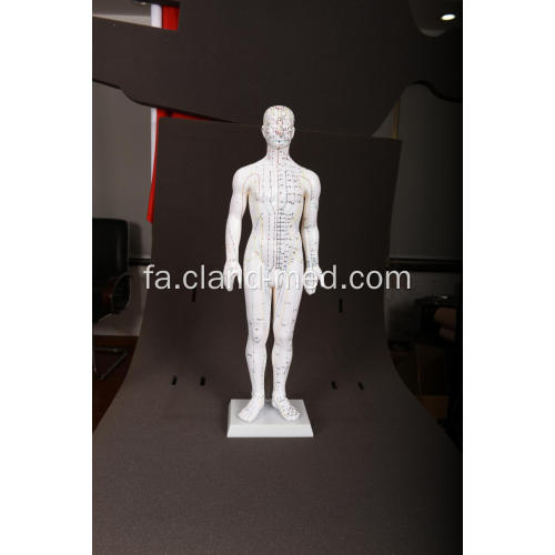 مدل ACUPUNCTURE مردانه